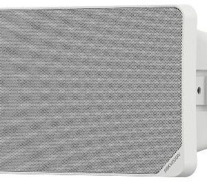 Hikvision Network Cabinet Speaker 20W