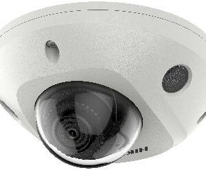 Hikvision 2MP AcuSense Built-in Mic Fixed Mini Dome Network Camera